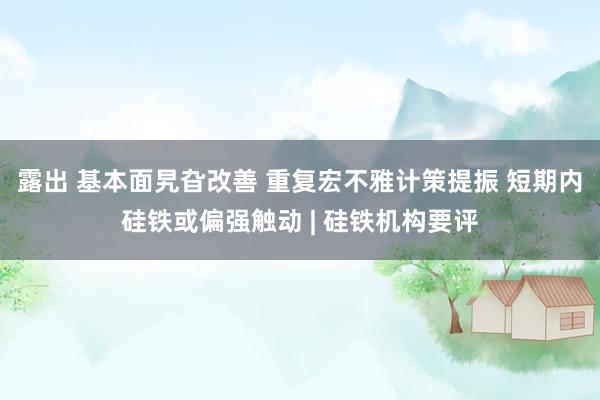 露出 基本面旯旮改善 重复宏不雅计策提振 短期内硅铁或偏强触动 | 硅铁机构要评