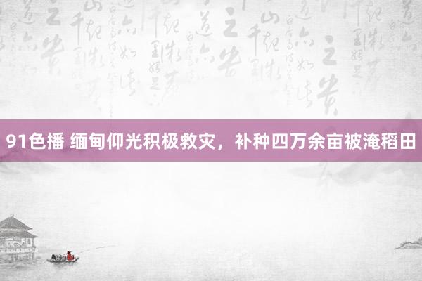 91色播 缅甸仰光积极救灾，补种四万余亩被淹稻田