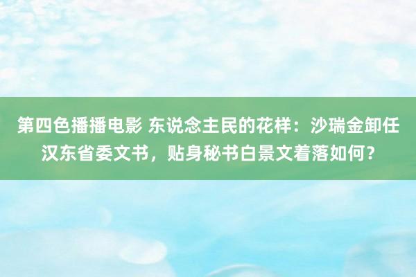 第四色播播电影 东说念主民的花样：沙瑞金卸任汉东省委文书，贴身秘书白景文着落如何？