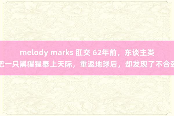 melody marks 肛交 62年前，东谈主类把一只黑猩猩奉上天际，重返地球后，却发现了不合劲