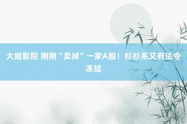 大姐影院 刚刚“卖掉”一家A股！杉杉系又有法令冻结