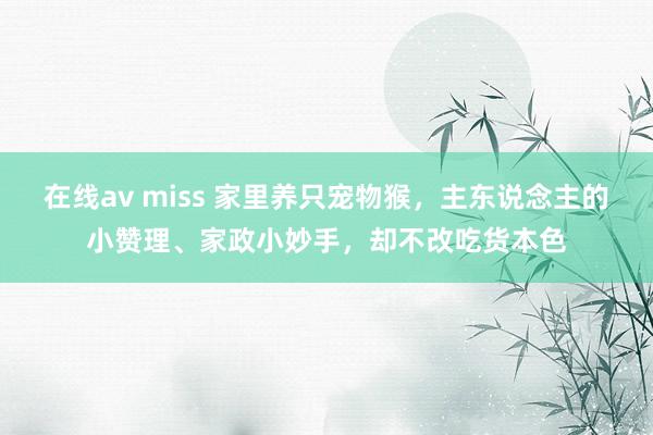 在线av miss 家里养只宠物猴，主东说念主的小赞理、家政小妙手，却不改吃货本色