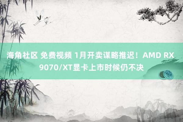 海角社区 免费视频 1月开卖谋略推迟！AMD RX 9070/XT显卡上市时候仍不决
