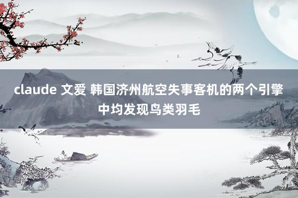 claude 文爱 韩国济州航空失事客机的两个引擎中均发现鸟类羽毛