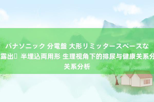 パナソニック 分電盤 大形リミッタースペースなし 露出・半埋込両用形 生理视角下的排尿与健康关系分析