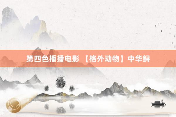 第四色播播电影 【格外动物】中华鲟
