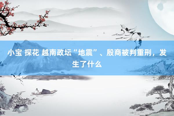 小宝 探花 越南政坛“地震”、殷商被判重刑，发生了什么