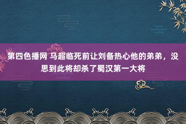 第四色播网 马超临死前让刘备热心他的弟弟，没思到此将却杀了蜀汉第一大将