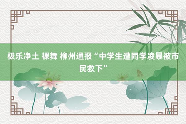 极乐净土 裸舞 柳州通报“中学生遭同学凌暴被市民救下”