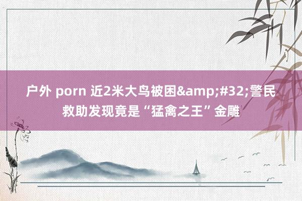 户外 porn 近2米大鸟被困&#32;警民救助发现竟是“猛禽之王”金雕