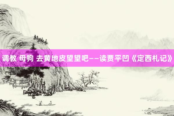 调教 母狗 去黄地皮望望吧——读贾平凹《定西札记》