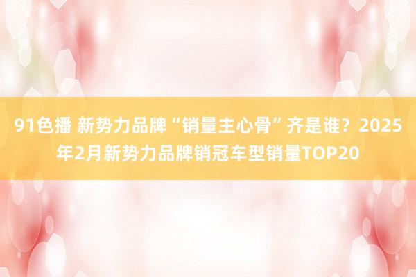 91色播 新势力品牌“销量主心骨”齐是谁？2025年2月新势力品牌销冠车型销量TOP20