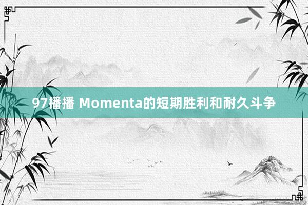 97播播 Momenta的短期胜利和耐久斗争