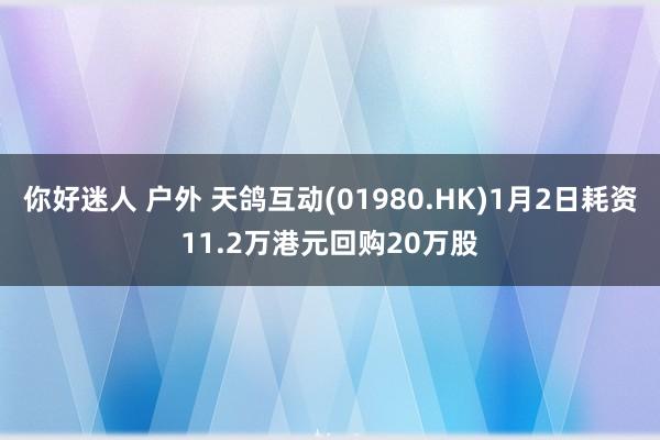 你好迷人 户外 天鸽互动(01980.HK)1月2日耗资11.2万港元回购20万股