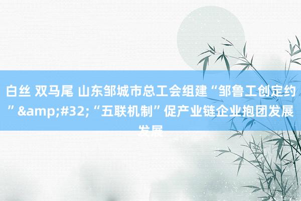 白丝 双马尾 山东邹城市总工会组建“邹鲁工创定约”&#32;“五联机制”促产业链企业抱团发展