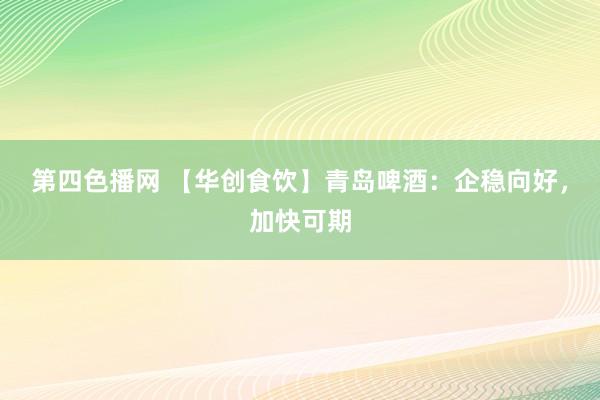 第四色播网 【华创食饮】青岛啤酒：企稳向好，加快可期