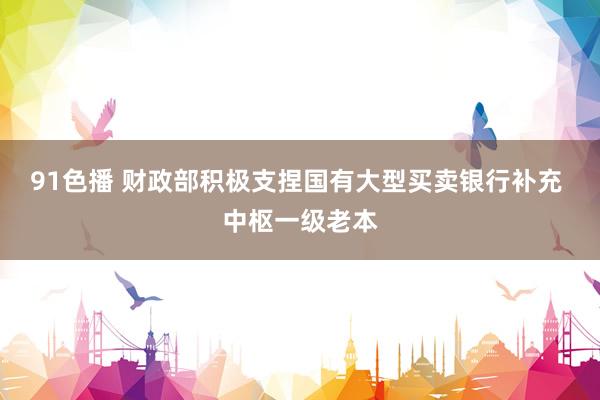 91色播 财政部积极支捏国有大型买卖银行补充 中枢一级老本