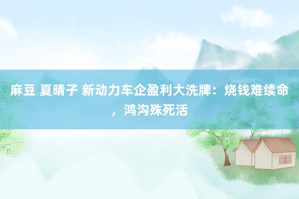 麻豆 夏晴子 新动力车企盈利大洗牌：烧钱难续命，鸿沟殊死活