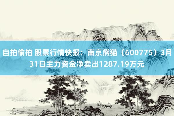 自拍偷拍 股票行情快报：南京熊猫（600775）3月31日主力资金净卖出1287.19万元