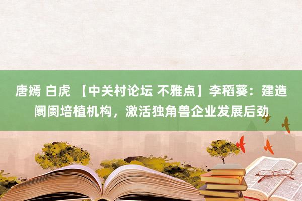 唐嫣 白虎 【中关村论坛 不雅点】李稻葵：建造阛阓培植机构，激活独角兽企业发展后劲