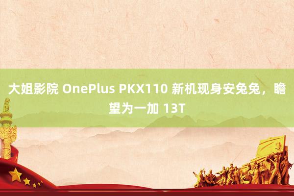 大姐影院 OnePlus PKX110 新机现身安兔兔，瞻望为一加 13T