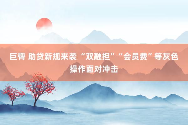 巨臀 助贷新规来袭 “双融担”“会员费”等灰色操作面对冲击