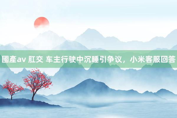 國產av 肛交 车主行驶中沉睡引争议，小米客服回答
