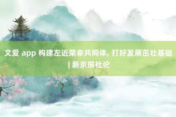 文爱 app 构建左近荣幸共同体， 打好发展茁壮基础 | 新京报社论