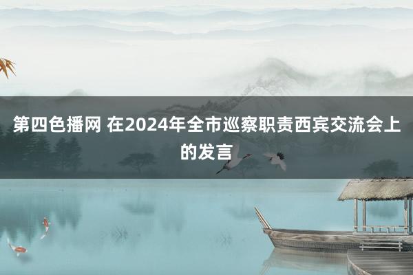 第四色播网 在2024年全市巡察职责西宾交流会上的发言