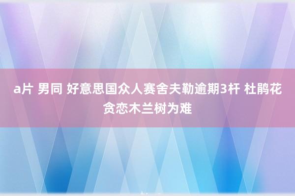 a片 男同 好意思国众人赛舍夫勒逾期3杆 杜鹃花贪恋木兰树为难