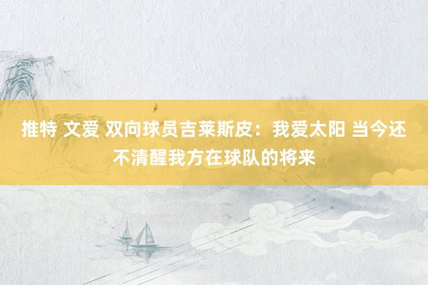 推特 文爱 双向球员吉莱斯皮：我爱太阳 当今还不清醒我方在球队的将来
