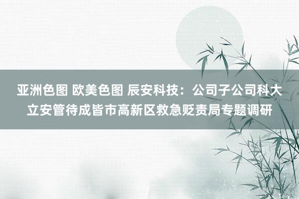 亚洲色图 欧美色图 辰安科技：公司子公司科大立安管待成皆市高新区救急贬责局专题调研