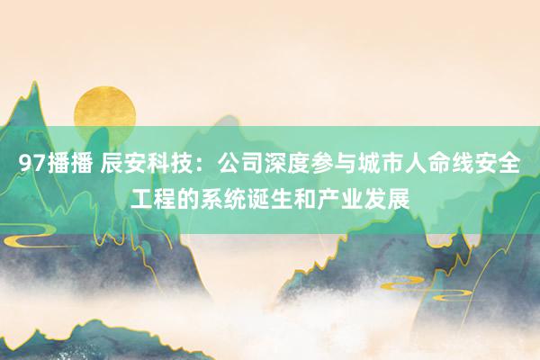 97播播 辰安科技：公司深度参与城市人命线安全工程的系统诞生和产业发展