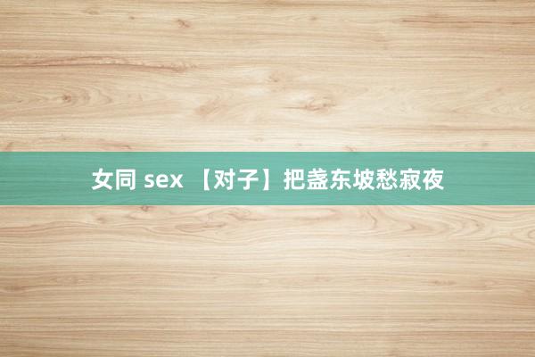 女同 sex 【对子】把盏东坡愁寂夜
