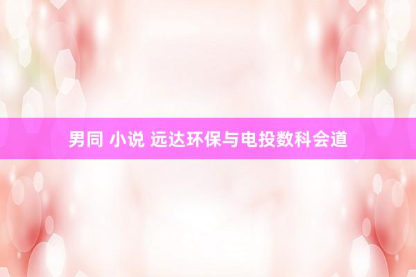 男同 小说 远达环保与电投数科会道
