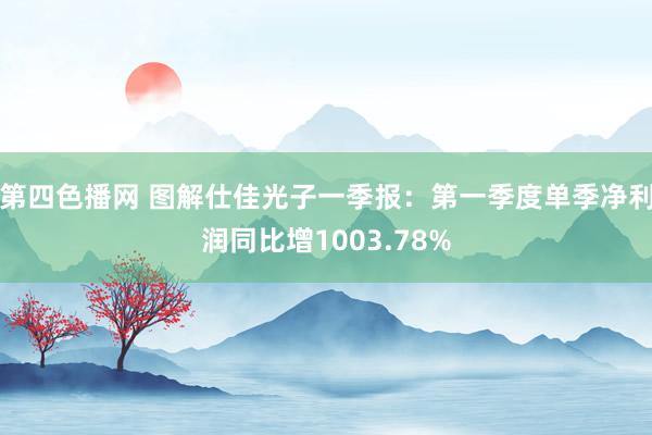 第四色播网 图解仕佳光子一季报：第一季度单季净利润同比增1003.78%