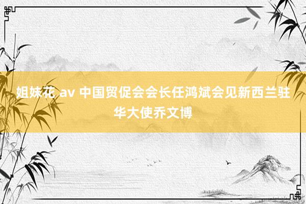 姐妹花 av 中国贸促会会长任鸿斌会见新西兰驻华大使乔文博