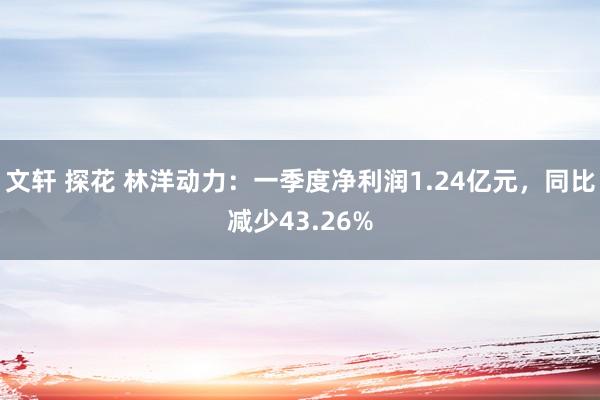文轩 探花 林洋动力：一季度净利润1.24亿元，同比减少43.26%