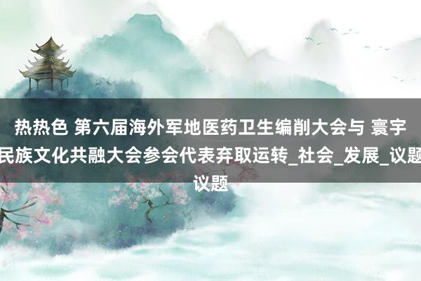 热热色 第六届海外军地医药卫生编削大会与 寰宇民族文化共融大会参会代表弃取运转_社会_发展_议题