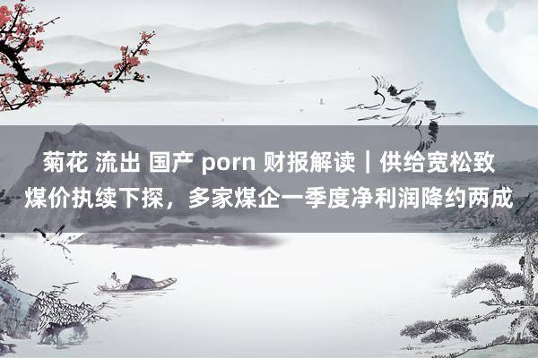 菊花 流出 国产 porn 财报解读｜供给宽松致煤价执续下探，多家煤企一季度净利润降约两成