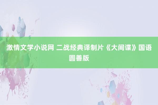 激情文学小说网 二战经典译制片《大间谍》国语圆善版